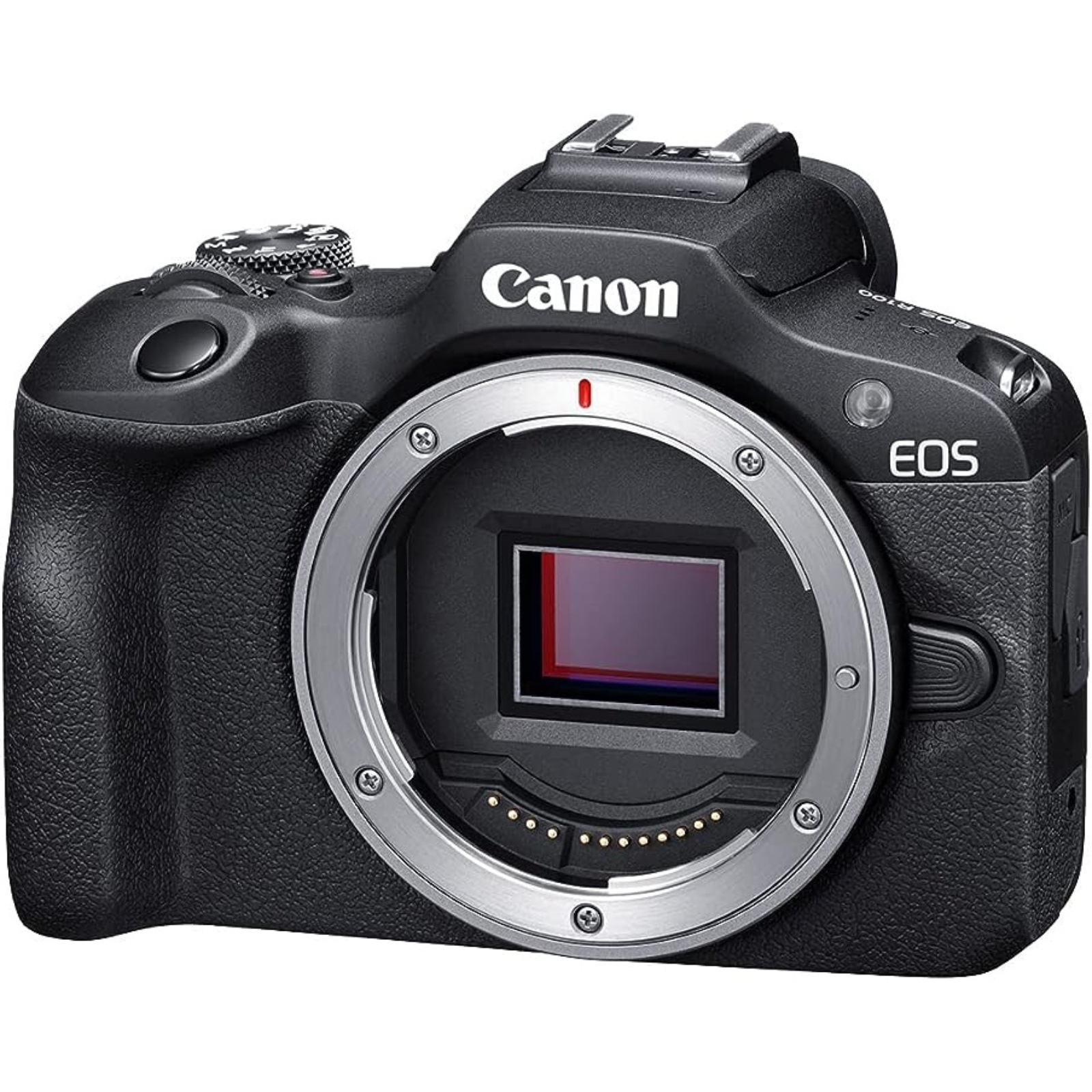 Canon EOS R100 ボディ